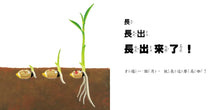 Load image into Gallery viewer, 當一天米飯