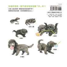 Load image into Gallery viewer, 狗狗出沒中!