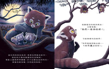 Load image into Gallery viewer, 新動物寓言繪本系列5:做得到的小貓熊