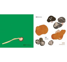 Load image into Gallery viewer, 做伙來踅大稻埕:《大稻埕動物園》+《大稻埕ê山珍海味》(中/台雙語)