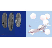 Load image into Gallery viewer, 做伙來踅大稻埕:《大稻埕動物園》+《大稻埕ê山珍海味》(中/台雙語)