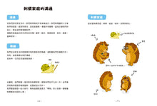 Load image into Gallery viewer, 小刺蝟的大情緒:陪孩子理解情緒