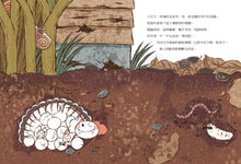 Load image into Gallery viewer, 松弟大冒險