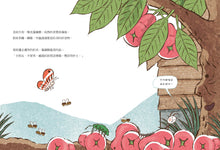 Load image into Gallery viewer, 松弟大冒險