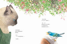 Load image into Gallery viewer, 貓與小鳥