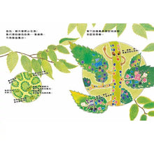 Load image into Gallery viewer, 咦?樹木裡藏著什麼祕密?