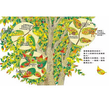 Load image into Gallery viewer, 咦?樹木裡藏著什麼祕密?