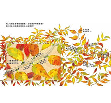 Load image into Gallery viewer, 咦?樹木裡藏著什麼祕密?