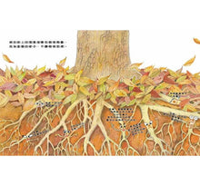 Load image into Gallery viewer, 咦?樹木裡藏著什麼祕密?