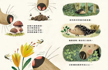 Load image into Gallery viewer, 原來我不需要害怕!