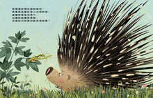 Load image into Gallery viewer, 原來我不需要害怕!