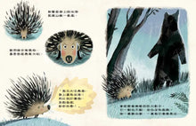 Load image into Gallery viewer, 原來我不需要害怕!