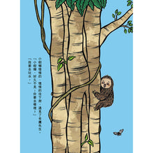 Load image into Gallery viewer, 慢慢的小樹懶