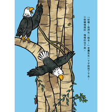 Load image into Gallery viewer, 慢慢的小樹懶