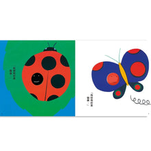 Load image into Gallery viewer, 紅圓圓和黑圓圓