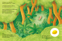 Load image into Gallery viewer, 你在媽媽肚子裡的時候