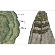 Load image into Gallery viewer, 在詩的季節裡牽你的手