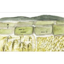 Load image into Gallery viewer, 在詩的季節裡牽你的手