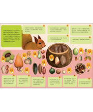 Load image into Gallery viewer, 神奇的種子