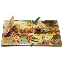 Load image into Gallery viewer, Look inside:珊瑚礁