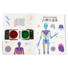 Load image into Gallery viewer, 濾鏡百科遊戲書:人體大透視 x 恐龍大透視(內附神奇雙色透視濾鏡,可顯現出不同圖案!)