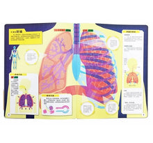 Load image into Gallery viewer, 濾鏡百科遊戲書:人體大透視 x 恐龍大透視(內附神奇雙色透視濾鏡,可顯現出不同圖案!)