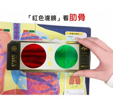 Load image into Gallery viewer, 濾鏡百科遊戲書:人體大透視 x 恐龍大透視(內附神奇雙色透視濾鏡,可顯現出不同圖案!)
