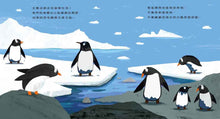 Load image into Gallery viewer, 企鵝才不穿毛衣!
