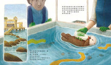 Load image into Gallery viewer, 海獺奧德