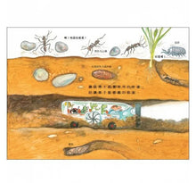 Load image into Gallery viewer, 雨蛙生態旅行團:地下探險之旅