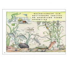 Load image into Gallery viewer, 雨蛙生態旅行團:池塘發現之旅