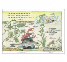 Load image into Gallery viewer, 雨蛙生態旅行團:池塘發現之旅