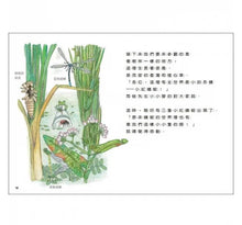 Load image into Gallery viewer, 雨蛙生態旅行團:池塘發現之旅