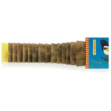 Load image into Gallery viewer, 你看見喜鵲了嗎?