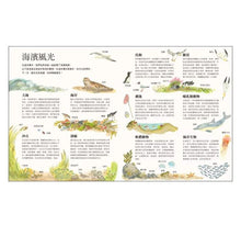 Load image into Gallery viewer, 老鼠的海濱假期