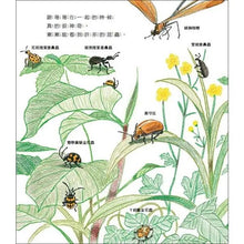 Load image into Gallery viewer, 一起去抓蟲!