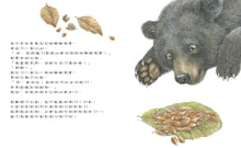 Load image into Gallery viewer, 請來我家用餐