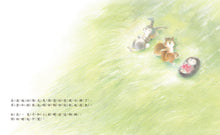 Load image into Gallery viewer, 成長暖心系列:小刺蝟的願望 x 小刺蝟的雪人 x 小刺蝟的紅色圍巾