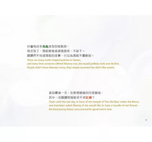 Load image into Gallery viewer, 找烏龜【中英雙語版】