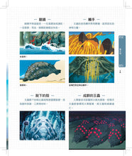Load image into Gallery viewer, 吉卜力工作室的各式各樣的生物
