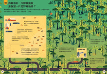 Load image into Gallery viewer, 小小科學人:100環保大發現