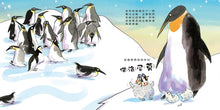 Load image into Gallery viewer, 大衛威廉:飛天企鵝傑洛尼莫