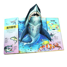 Load image into Gallery viewer, XXL超大立體書系列:恐龍奧秘、太空秘境、動物秘訪