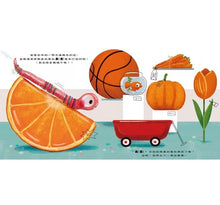 Load image into Gallery viewer, 蟲蟲的世界:形狀X色彩 雙套組