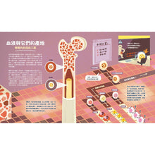 Load image into Gallery viewer, 小大人的血液課