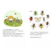 Load image into Gallery viewer, 【小小生態花園系列繪本套書】樹是怎麼便便的呢?+花也會談戀愛嗎?+植物寶寶怎麼誕生的呀?