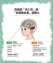 Load image into Gallery viewer, 閃電燈家族 1-3