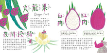 Load image into Gallery viewer, 【蔬果系列食育繪本:火龍果】火龍狗的夏天 Dragon Dog’s Summer Secret