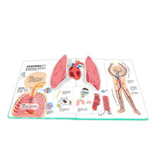 Load image into Gallery viewer, 知識立體翻翻書: 身體好重要!