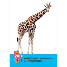 Load image into Gallery viewer, 忍者兔認知學習圖卡:數字123 x 字母ABC x 交通 x 動物【40張雙面全彩圖卡+收納鐵盒】